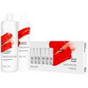 360 Hair Professional Energizing Hair Density System Trio 3 pc.