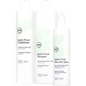 360 Hair Professional Quick Treat Trio 3 pc.