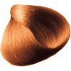 All-Nutrient 8IC- Brilliant Intense Copper Blonde 2 Fl. Oz.