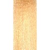BES Beauty & Science 10.43- Ultra Light Copper Golden Blond 3.5 Fl. Oz.