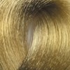 BES Beauty & Science 10.38- Ultra Light Golden Beige Blond 3.5 Fl. Oz.