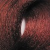 BES Beauty & Science 5.6- Deep Red Light Brown 3.5 Fl. Oz.