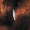 BES Beauty & Science 6.4- Dark Copper Blond 3.5 Fl. Oz.
