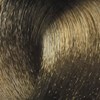 BES Beauty & Science 8.1- Light Ash Blond 3.5 Fl. Oz.