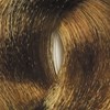 BES Beauty & Science 8.3- Light Golden Blond 3.5 Fl. Oz.