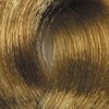 BES Beauty & Science 8.38- Light Golden Beige Blond 3.5 Fl. Oz.