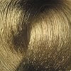 BES Beauty & Science 9.1- Very Light Ash Blond 3.5 Fl. Oz.
