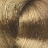 BES Beauty & Science 9.23- Very Light Violet Golden Blond 3.5 Fl. Oz.