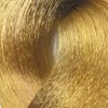 BES Beauty & Science 9.3- Very Light Golden Blond 3.5 Fl. Oz.
