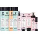 bōkka BOTÁNIKA Salon Intro