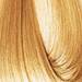 EARTHIA COLOR 10/3- golden ultra-light blond 3.4 Fl. Oz.