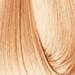 EARTHIA COLOR 11/07- beige special blond 3.4 Fl. Oz.