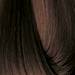 EARTHIA COLOR 6/3- golden dark blond 3.4 Fl. Oz.