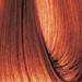 EARTHIA COLOR 6/4- copper dark blond 3.4 Fl. Oz.