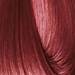 EARTHIA COLOR 6/6- red dark blond 3.4 Fl. Oz.