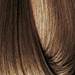 EARTHIA COLOR 6/7- beige dark blond 3.4 Fl. Oz.