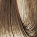 EARTHIA COLOR 8/1- ash light blond 3.4 Fl. Oz.