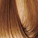 EARTHIA COLOR 8/3- golden light blond 3.4 Fl. Oz.