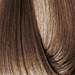 EARTHIA COLOR 8/7- beige light blond 3.4 Fl. Oz.