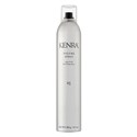 Kenra Professional Volume Spray 25 80% 10 Fl. Oz.