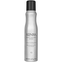 Kenra Professional Root Lifting Spray 13 8 Fl. Oz.