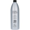 Kenra Professional Developer 20 Volume Liter