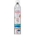 Kenra Professional Volume Spray Coastal Breeze 25 10 Fl. Oz.