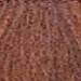 milk_shake 5.43- Copper Gold Light Brown 3.4 Fl. Oz.