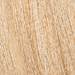 milk_shake 9.3/9G- golden very light blond 2.03 Fl. Oz.