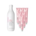 milk_shake smoothies try me kit