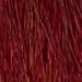 milk_shake 6.66/6RR- Intense Red Dark Blond 2.03 Fl. Oz.
