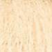 milk_shake 10.00- Platinum Lightest Blond 3.4 Fl. Oz.