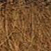 milk_shake 5.00- Light Brown 3.4 Fl. Oz.