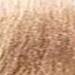 milk_shake 9.13- Ash Gold Very Light Blond 3.4 Fl. Oz.