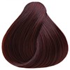 OYA 4-8R- Red Medium Brown 3.17 Fl. Oz.