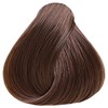 OYA 6-5G- Gold Dark Blond 3.17 Fl. Oz.