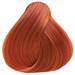 OYA Orange Concentrate 3.17 Fl. Oz.