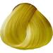 OYA Wild Direct Color- Sunflower 3.17 Fl. Oz.