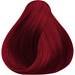 OYA Wild Direct Color- Dynamite 3.17 Fl. Oz.