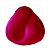 OYA Wild Direct Color- Pomegranate 3.17 Fl. Oz.