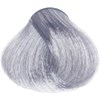 Z.One Concept 10.17- Ash Violet Platinum Lightest Blond 3.4 Fl. Oz.